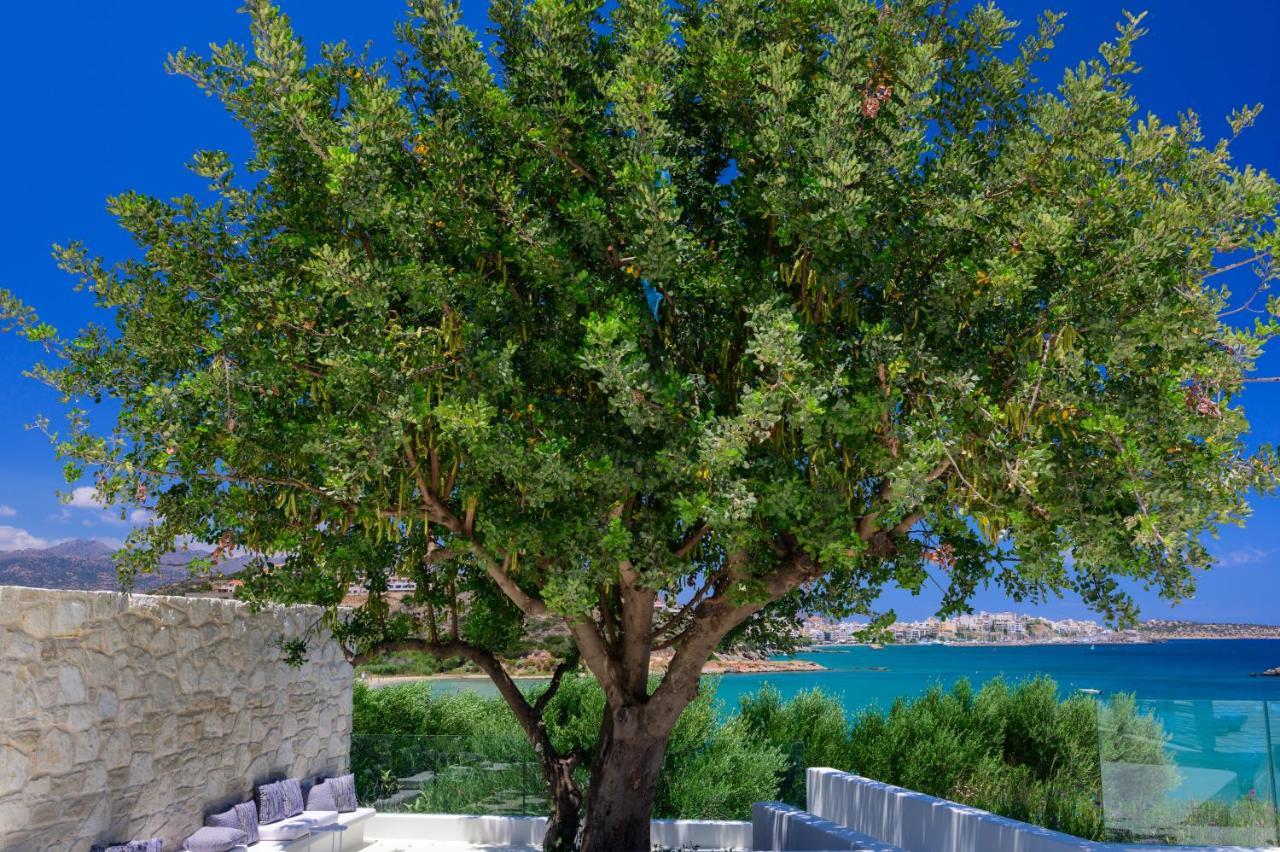 The Island Concept Luxury Boutique Hotel Heated Pool Agios Nikolaos  Ngoại thất bức ảnh